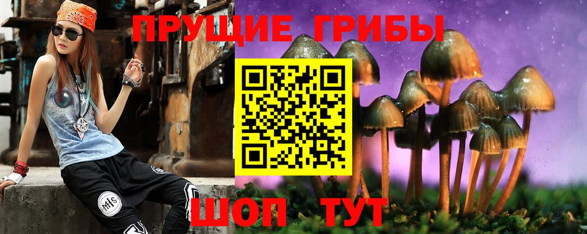 Псилоцибиновые грибы мухоморы  наркошоп  Галлюциногенные грибы GOLDEN TEACHER  Баксан  Вход с VPN 