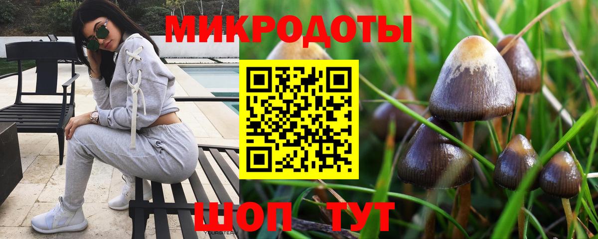 Галлюциногенные грибы GOLDEN TEACHER Баксан